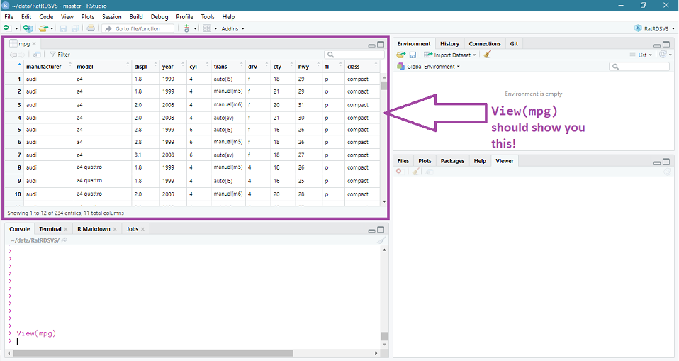 The result of the 'View(mpg)' command