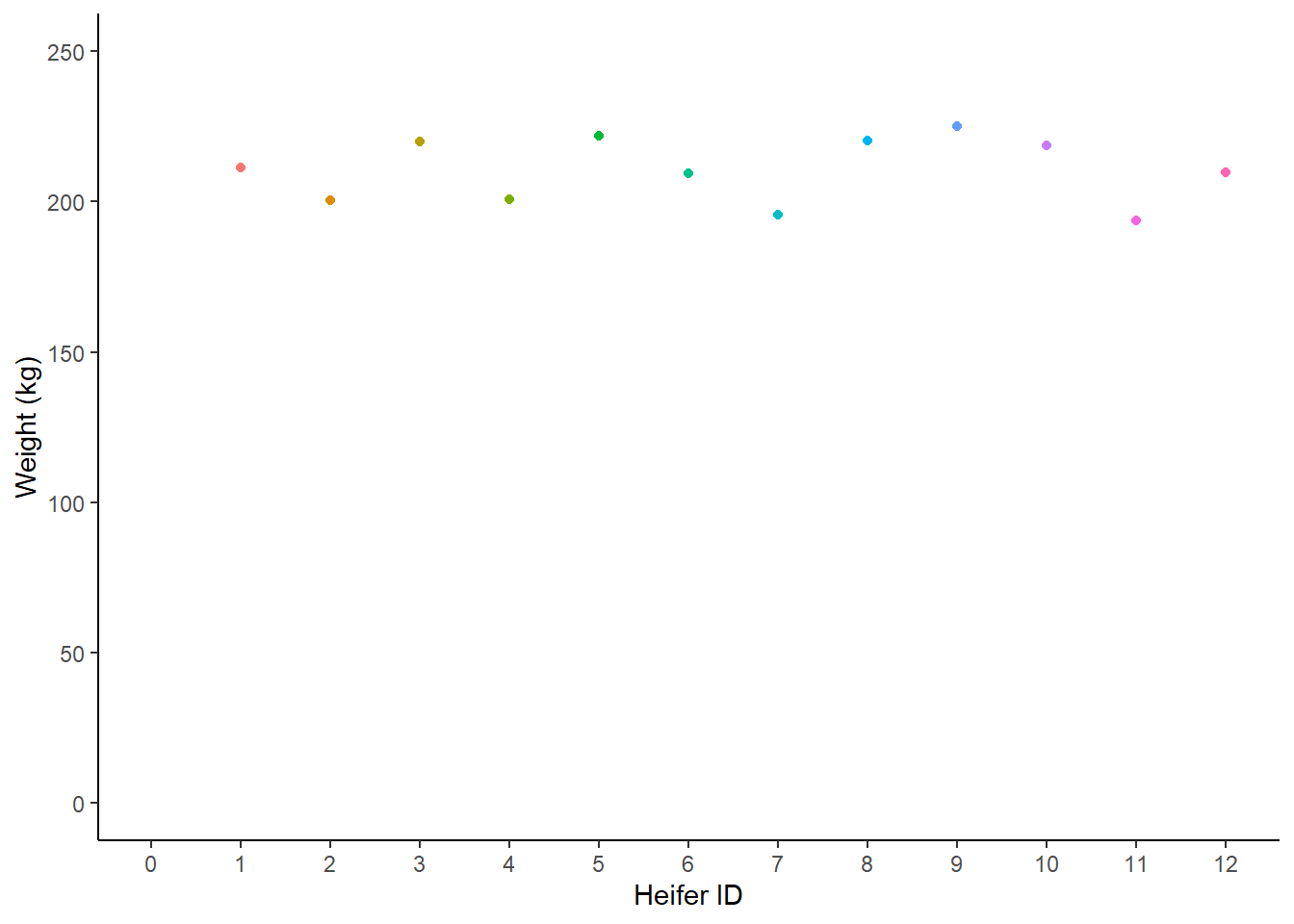 Weight (kg) of 12 heifers